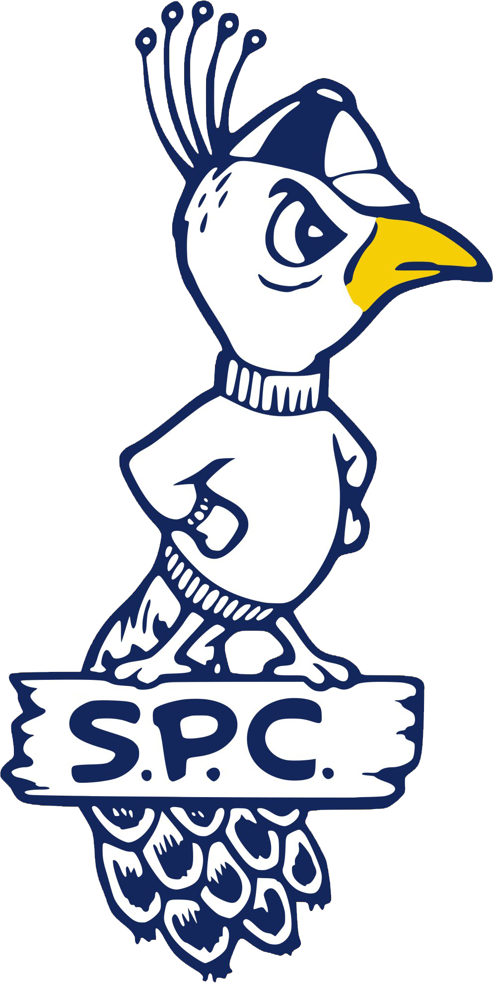 St. Peters Peacocks 1965-1982 alternate logo t shirts iron on transfers